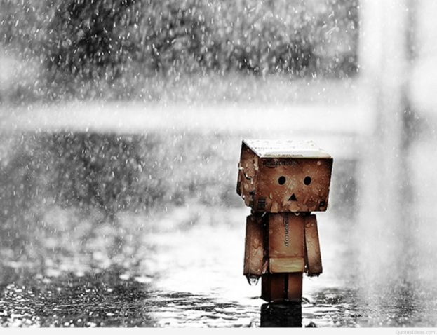 صور حزينة لدانبو في المطر Sad Danbo